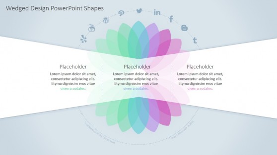 Professional PowerPoint Presentation Petals Diagram