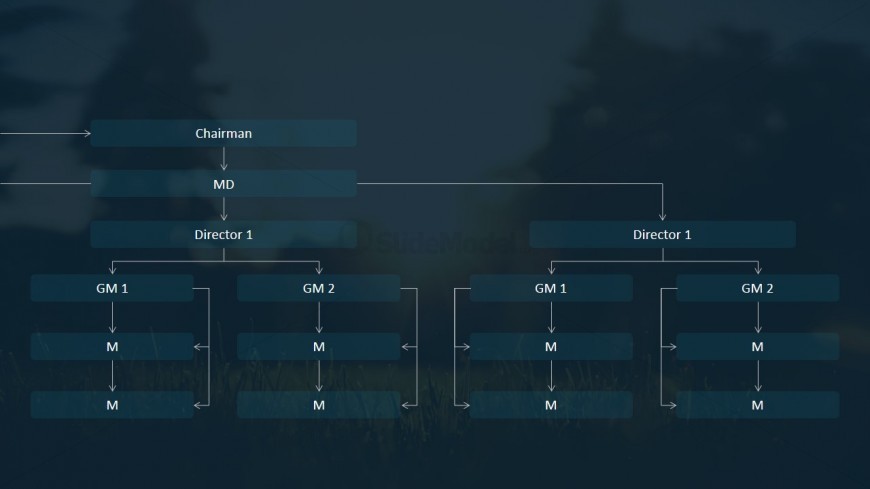 PPT Organizational Chart Slide Design