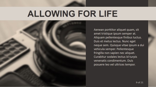 Photo with Vertical Tile Paragraph for PowerPoint