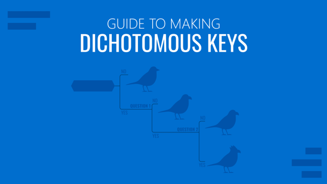 Guide to Making Dichotomous Keys
