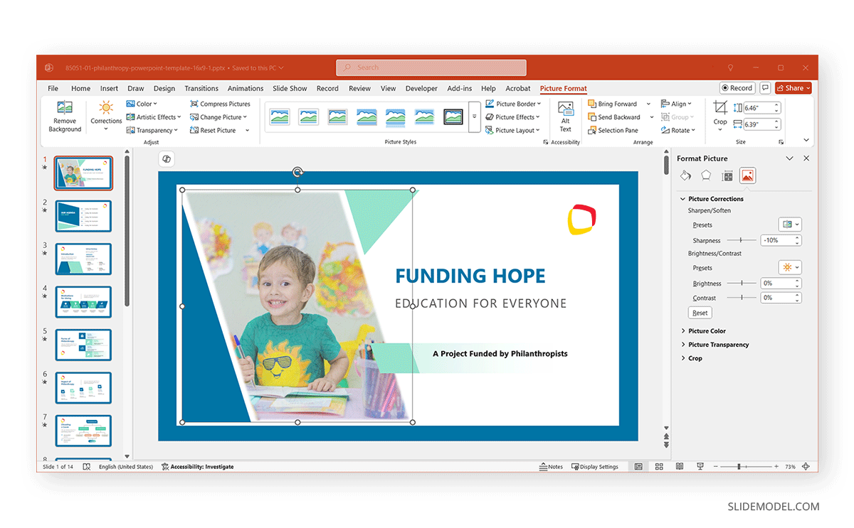 Working with Format Picture in PowerPoint