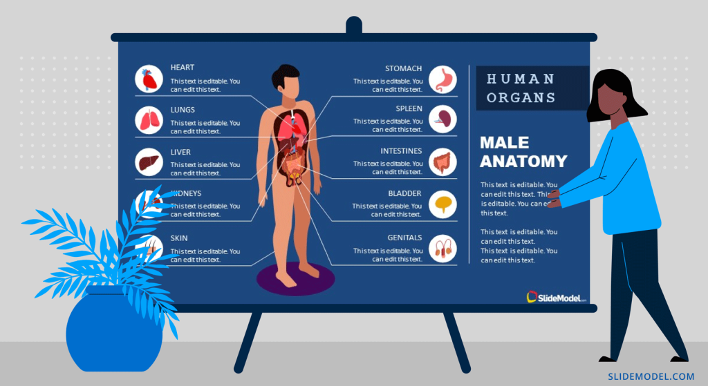 Example of Anatomical Infographic Presentation