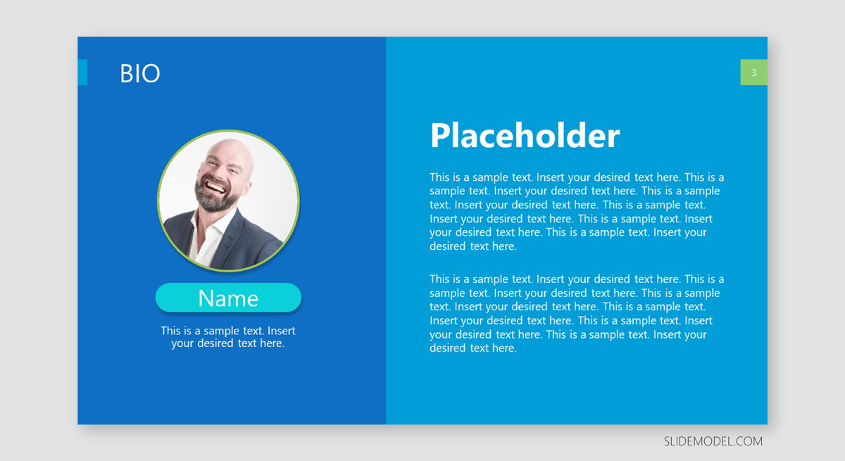 Stand Out With a Professional Bio: Tips, Bio Template (Examples ...