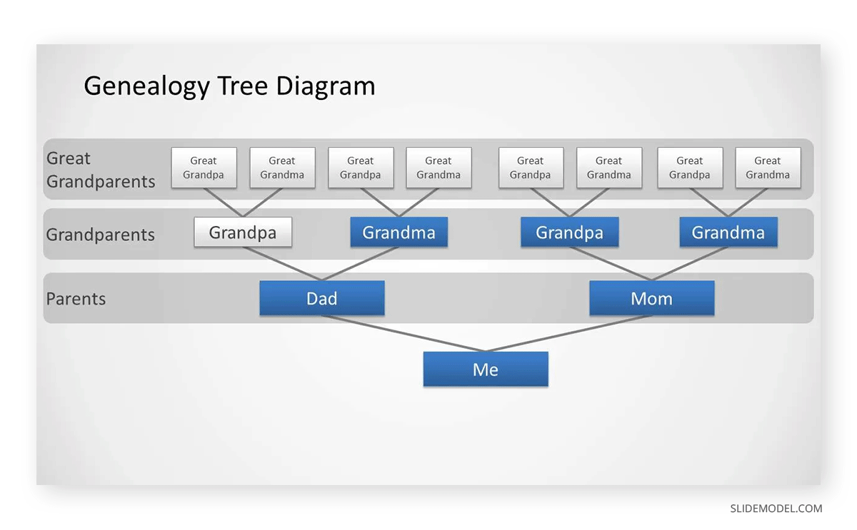 Working with a genealogy tree diagram template for PowerPoint