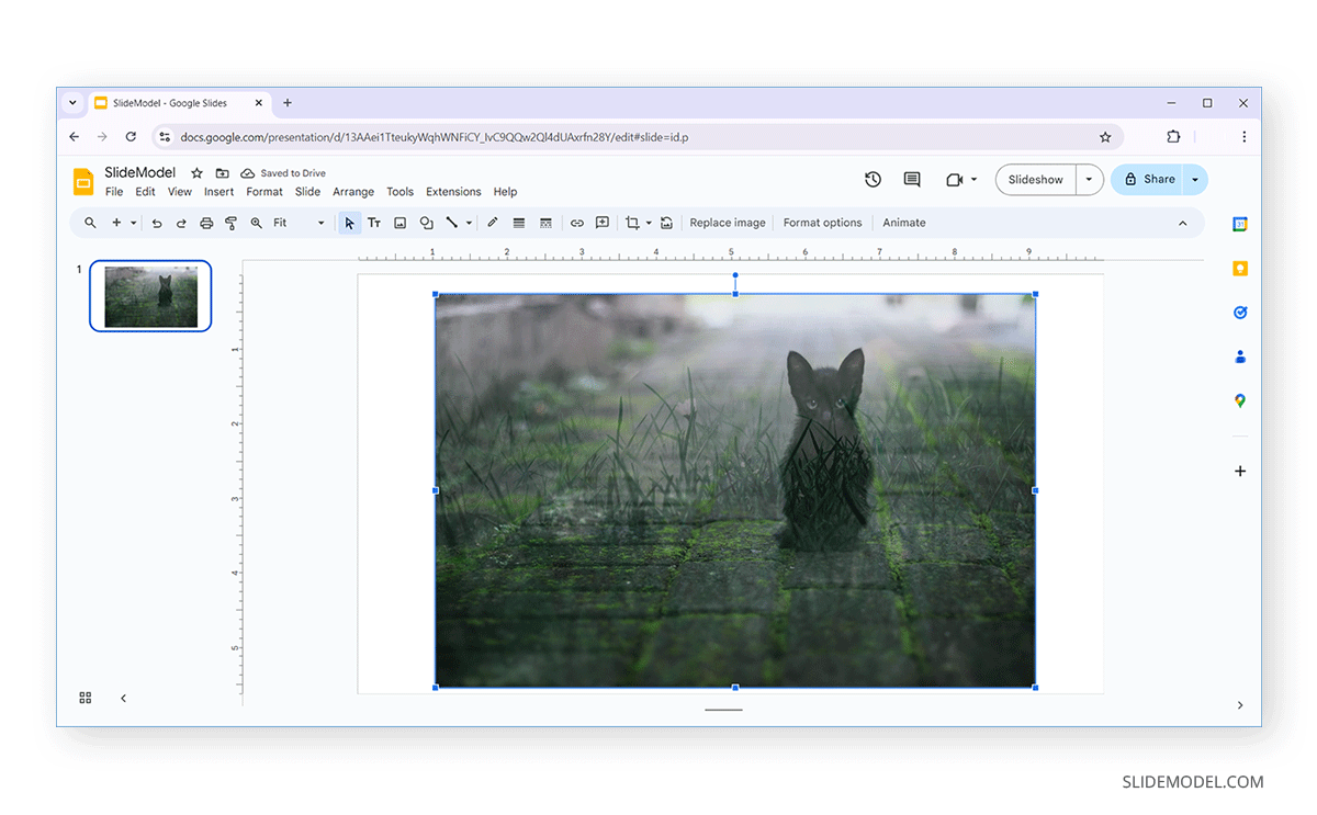 Semi-transparent image in Google Slides