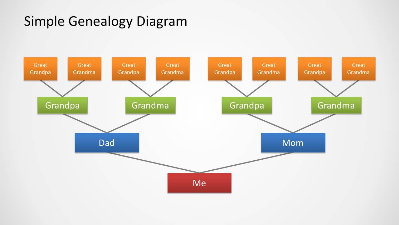 Genealogy Tree Diagram For Powerpoint Slidemodel