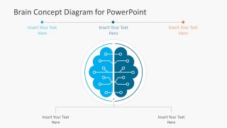 Editable Template of Brain Circuits Concept