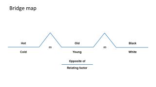 Template of Relating Factor in Bridge Map 