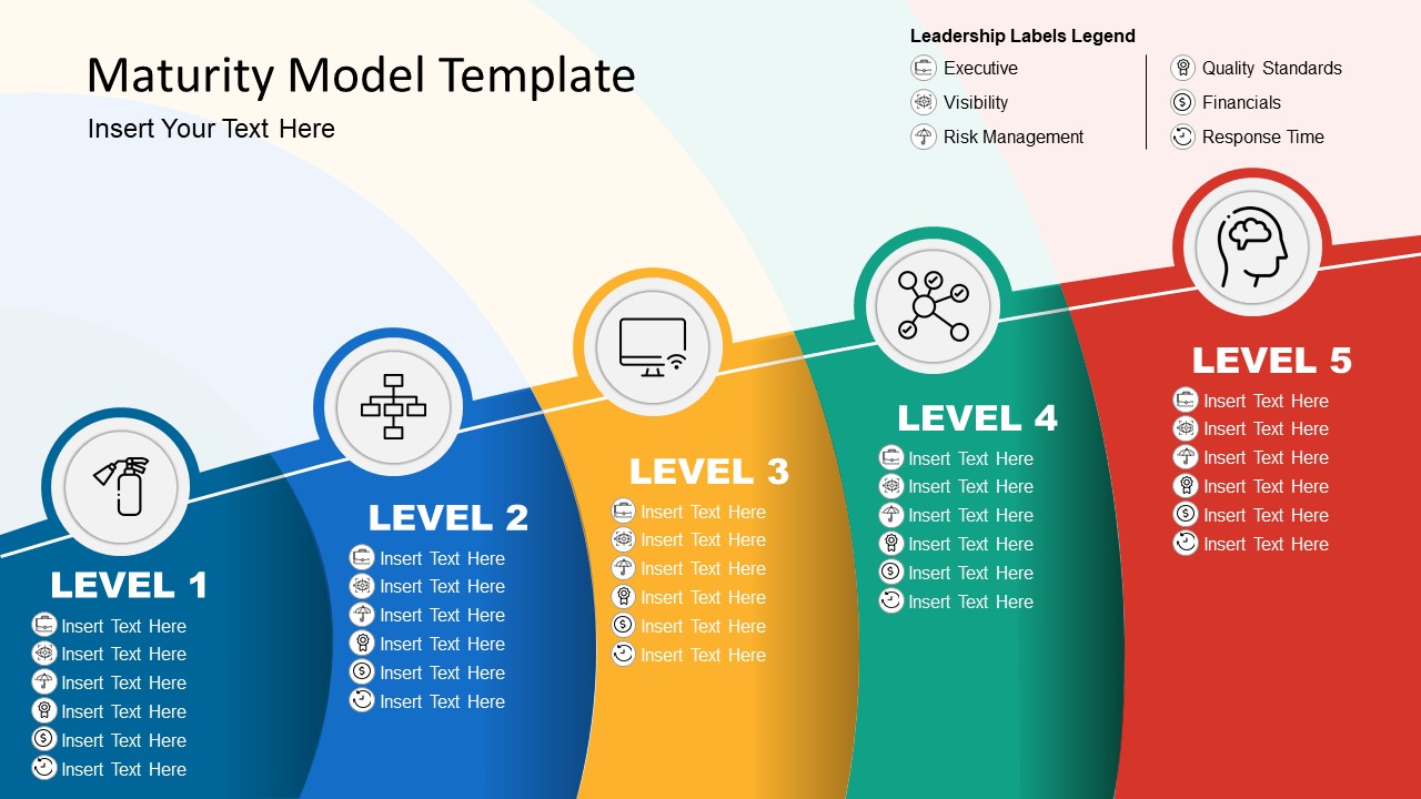 5 Level Maturity Model 