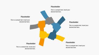 5 Stages of Solidarity Concepts 