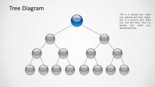 Tree Diagram with 4 Hierarchy Levels and 2 Branches