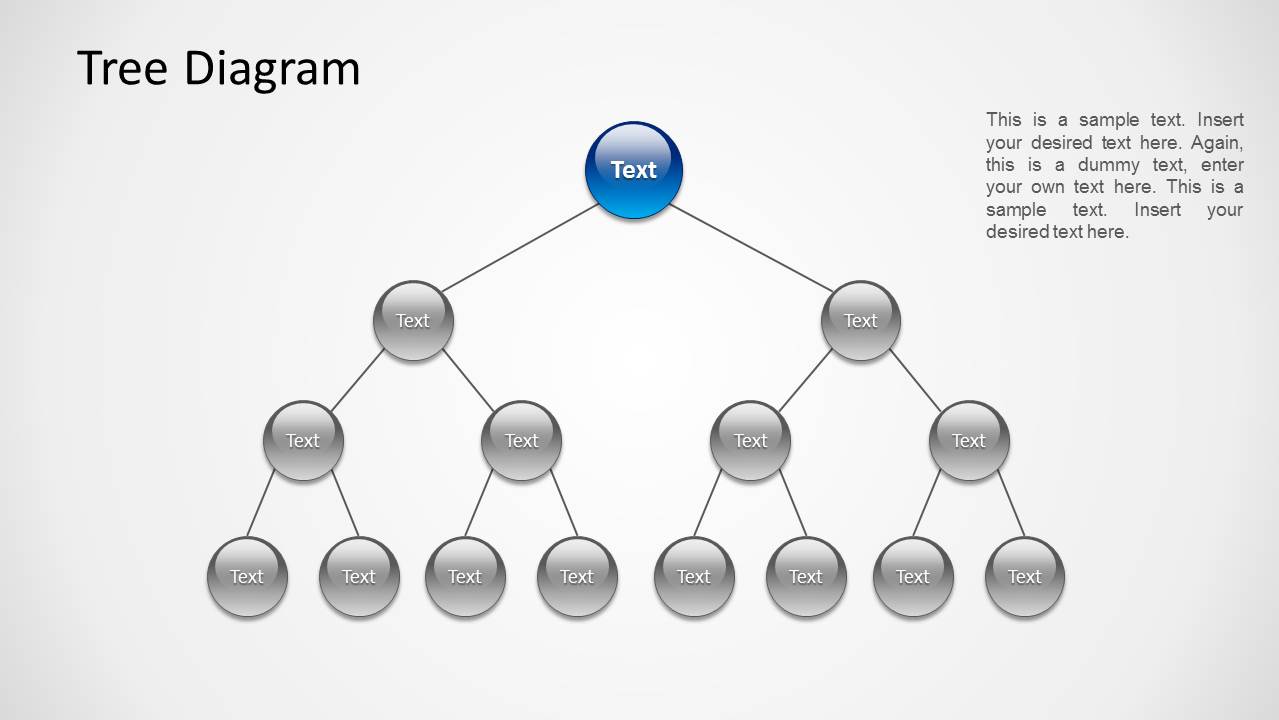 Tree Diagram with 4 Hierarchy Levels and 2 Branches