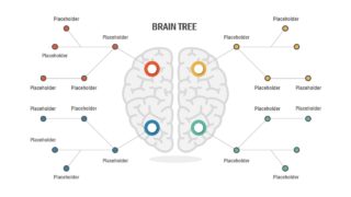 Infogrpahic Brain Tree Diagram