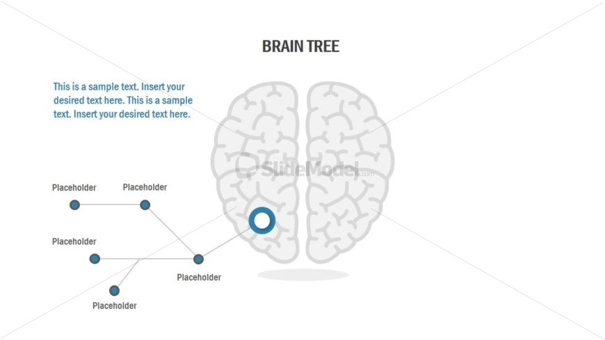 Flat Brain Shape Illustration