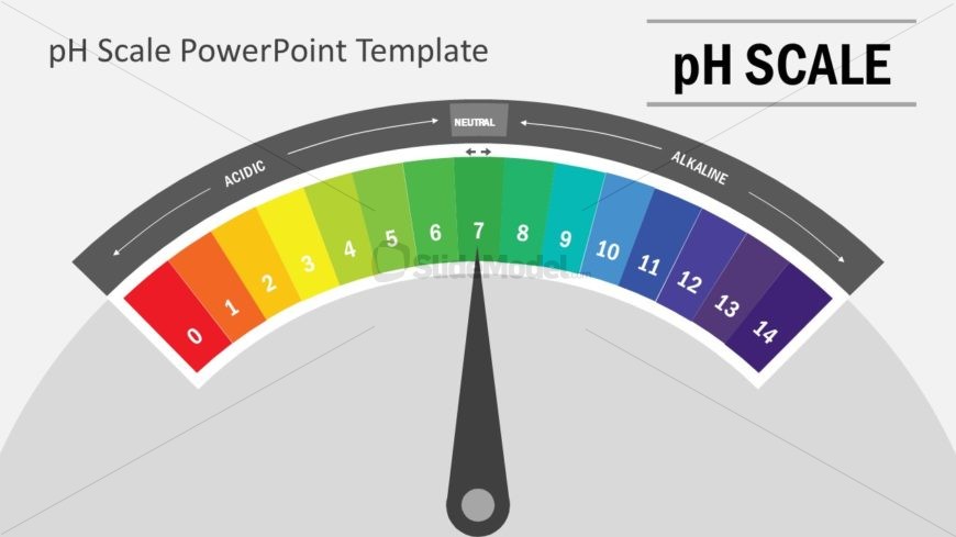 Notion Template Gallery Workspace Template For Ph D Students