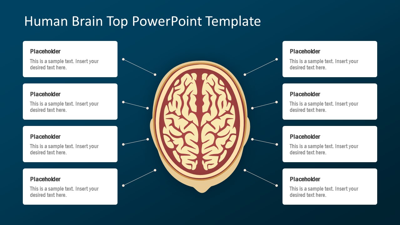 Human Brain Top View PowerPoint Template - SlideModel