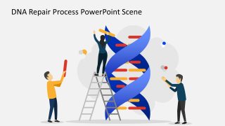 DNA Repair Process Illustration PPT Slide