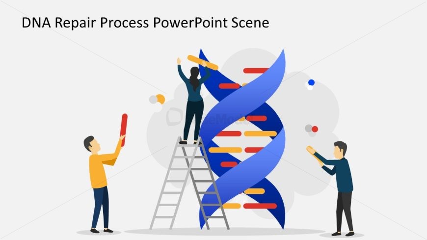 DNA Repair Process Illustration PPT Slide