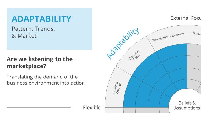 Denison Model Adaptability Key Trait Template