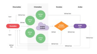 Flow of Data in OODA Loop 