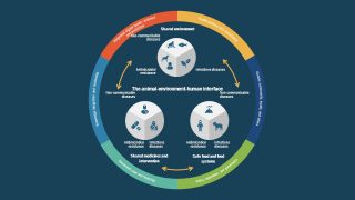 PPT One Health Approach Model