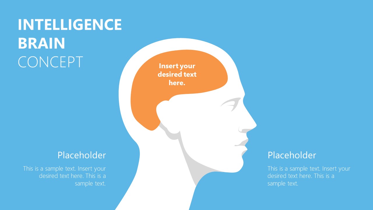 Human Head and Brain Shapes Silhouette