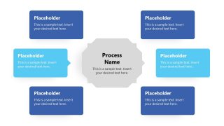 Text Placeholders for Turtle Diagram 