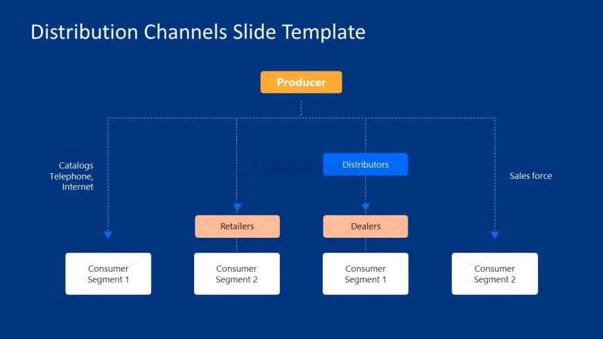 Distribution Pathways Vertical Flowchart Representation Slide