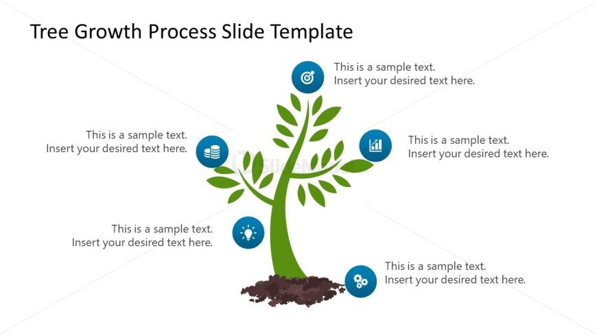 Tree Growth Process Slide PPT Template