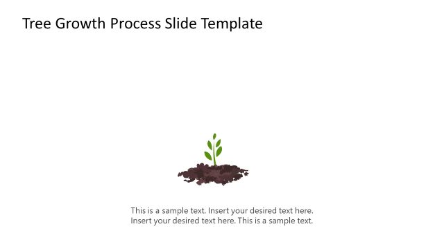 Editable Tree Growth Process Slide Template