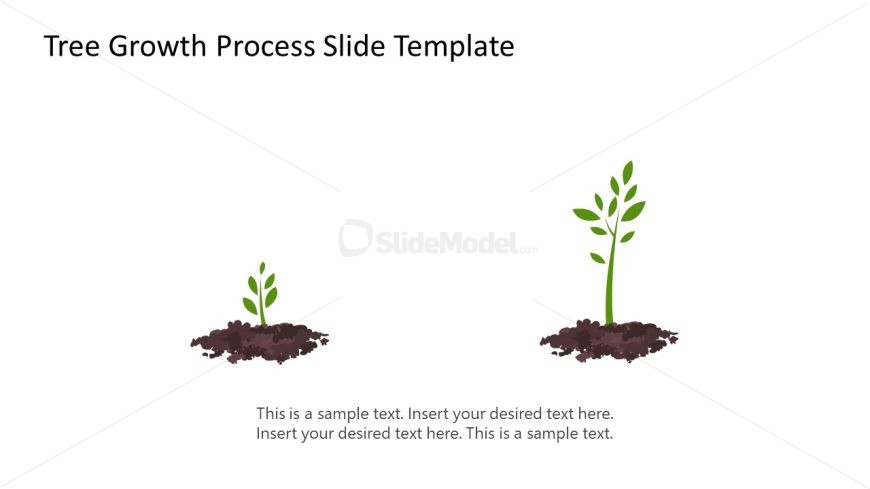 Editable Tree Growth Process Template for PowerPoint
