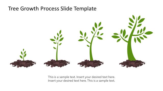 Tree Growth Process Template with Diagram