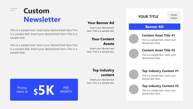 Editable Web Publisher Media Kit PPT Template – Custom Newsletter Slide