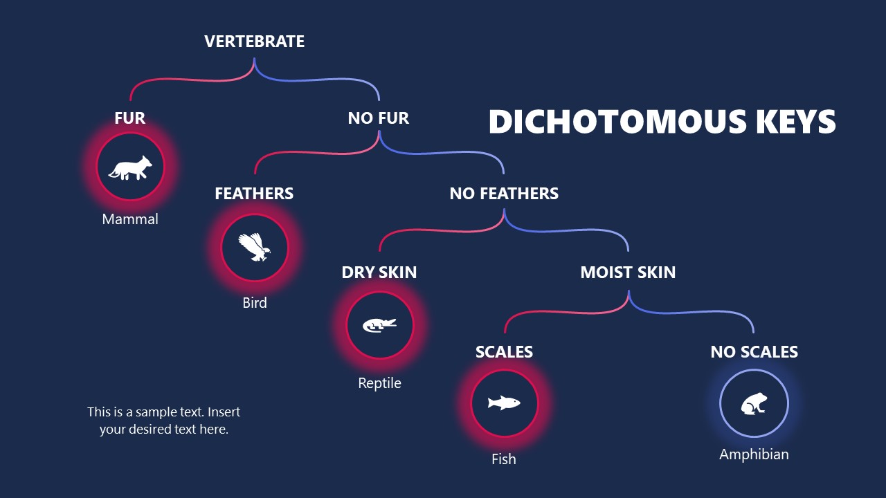 Dichotomous Keys PPT Presentation Template