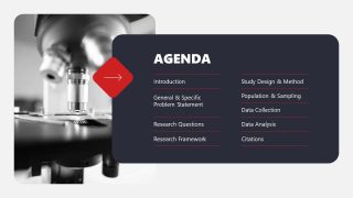 Customizable Research Presentation Template