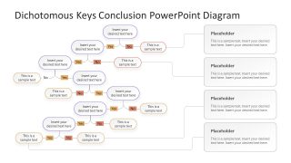 PPT Dichotomous Key Slide Template with Yes & No Labels