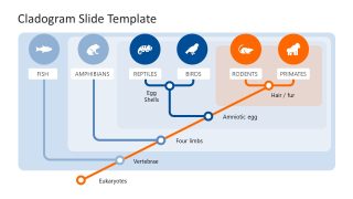 Cladogram Template for PowerPoint