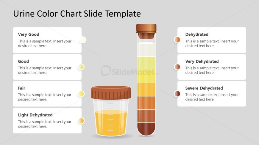 PowerPoint Template for Urine Color Chart Presentation