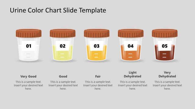 Editable Urine Color Chart Slide Template