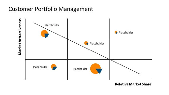 Customer Portfolio Management PowerPoint Slide