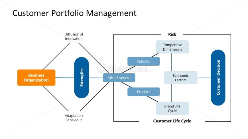 Customer Portfolio Management PPT Slide