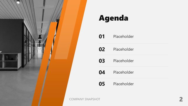 Editable Company Snapshot PPT Template