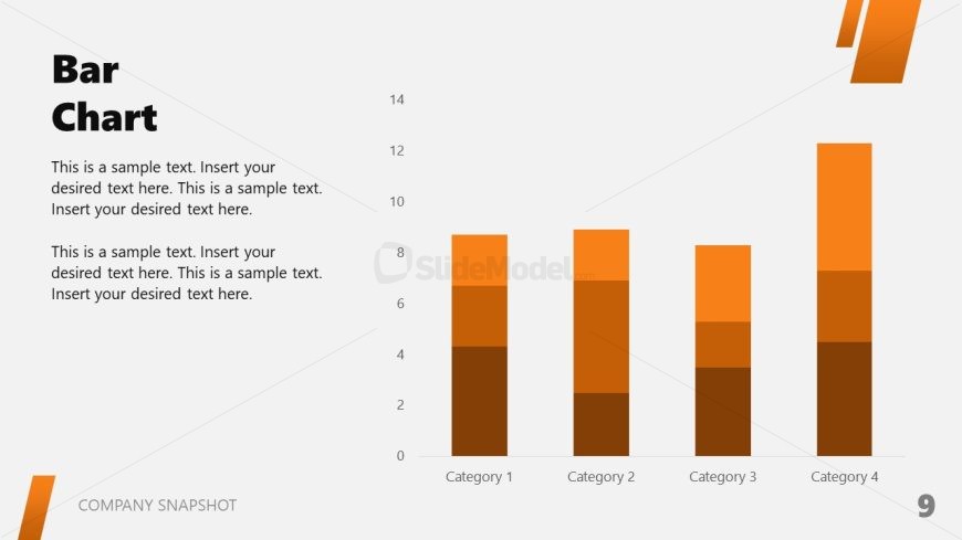 Data Visualization Slide for Company Snapshot Template 