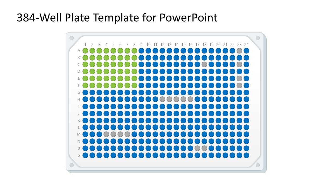 384-Well Plate Template for Presentation 