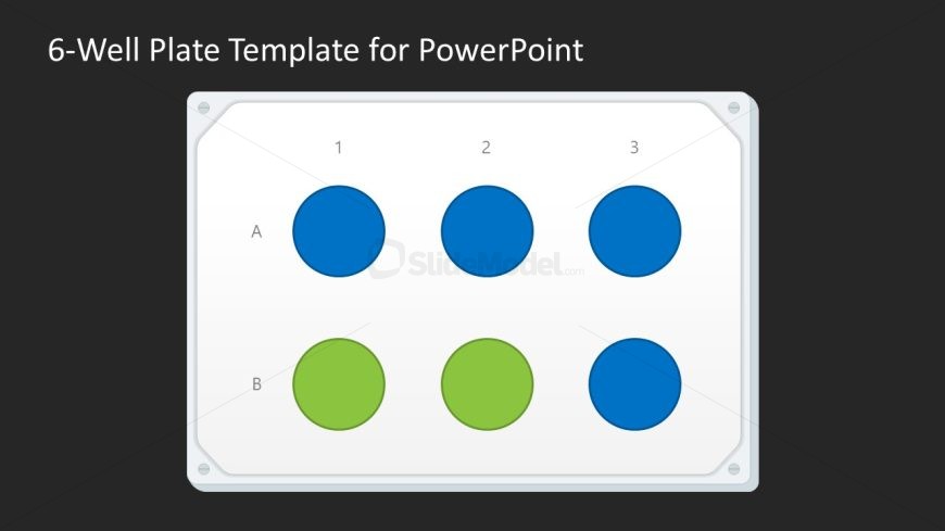 6-Well Plate PPT Slide
