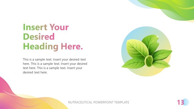 Placeholder Text Section for Nutraceutical Pitch Deck