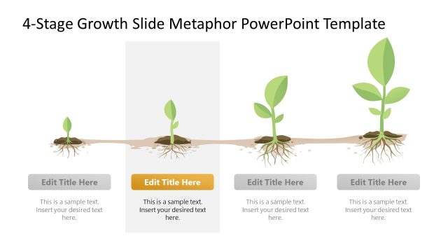 4-Stage Growth Metaphor Slide with Diagram