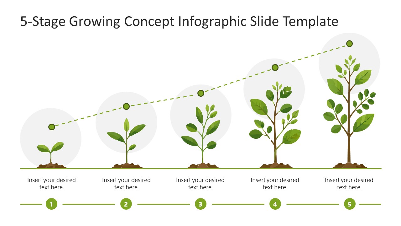 5-Stage Growing Concept Presentation Template