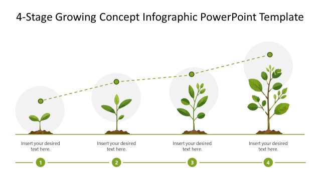 4-Stage Growing Concept PowerPoint Template