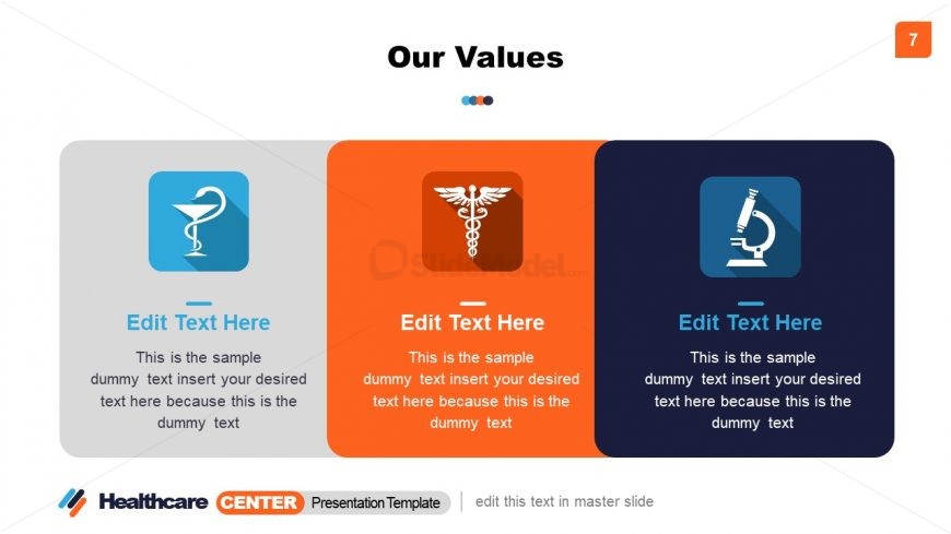 Infographic Segments of Healthcare Center Values 